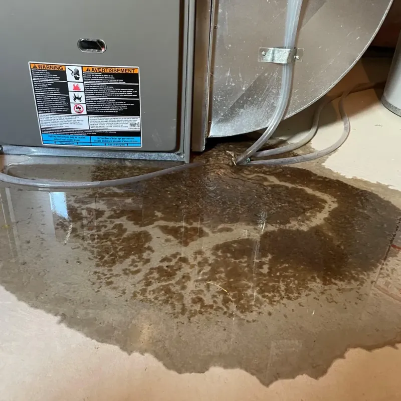 Appliance Leak Cleanup in Poinciana, FL